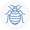 Bed Bug Extermination In Great Linford