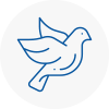 Bird Prevention Great Linford