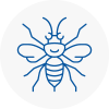 Great Linford Hornet Nest Removals