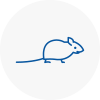 Mice Exterminators In Great Linford