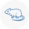 Rat Control Great Linford
