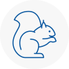 Great Linford Rodent Removals